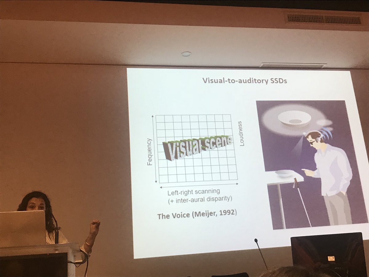 nufyates's tweet photo. Great talk by Malika Auvray about sensory substitution and vertical integration hypothesis #ewic2018 @seeingwithsound https://t.co/7Biav9k64T