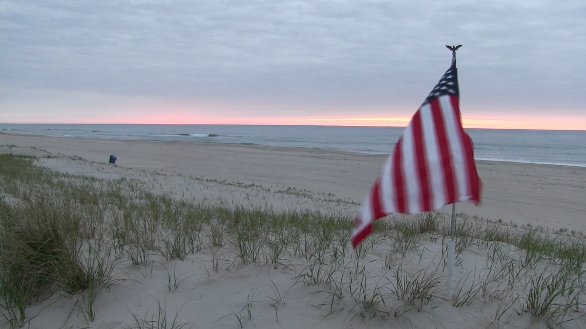 jack bushko tweet media