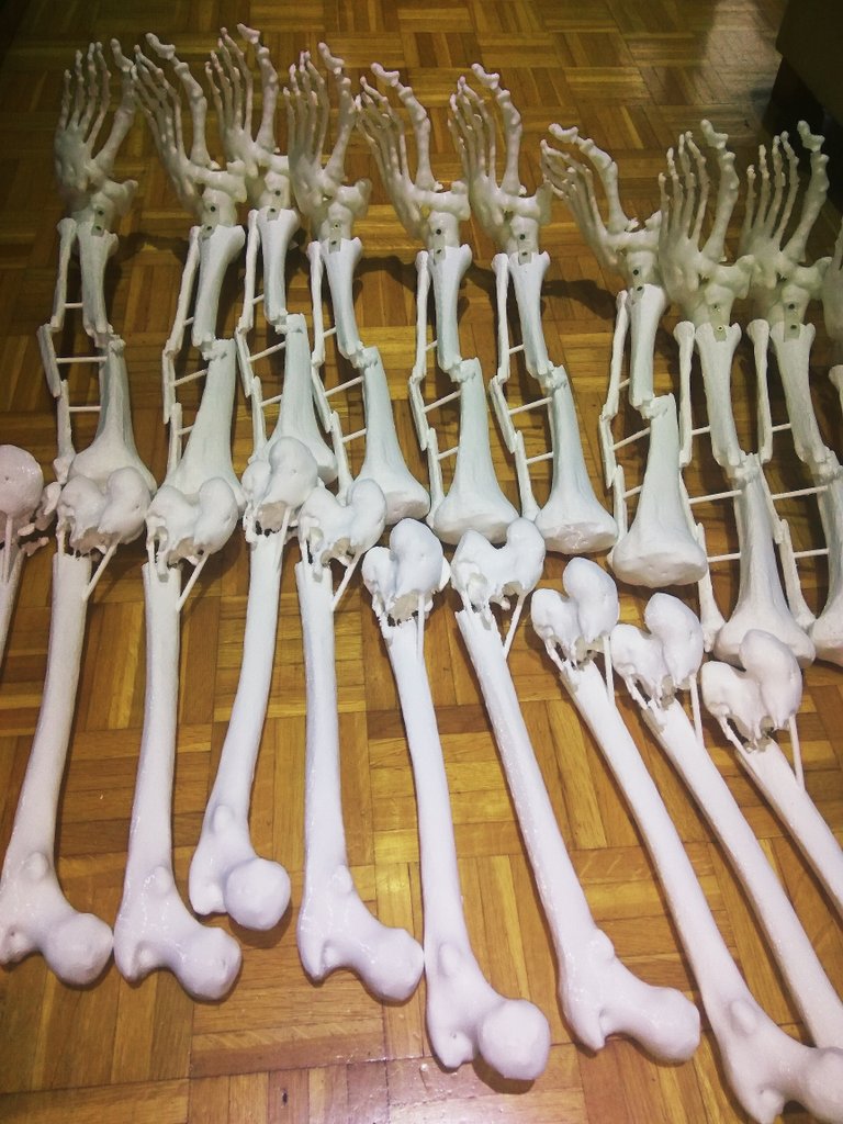 MM3D_'s tweet photo. #impresión3d de huesos para #curso de #traumatologia
#traumatology #course with #3DPrinting #bones
#impressio3d d'ossos per curs de #traumatologia
#medicalmodel3d #medicaldevice #huesos #planificaciónquirúrgica #surgeryplanning #trainning https://t.co/a8sc3IurEj