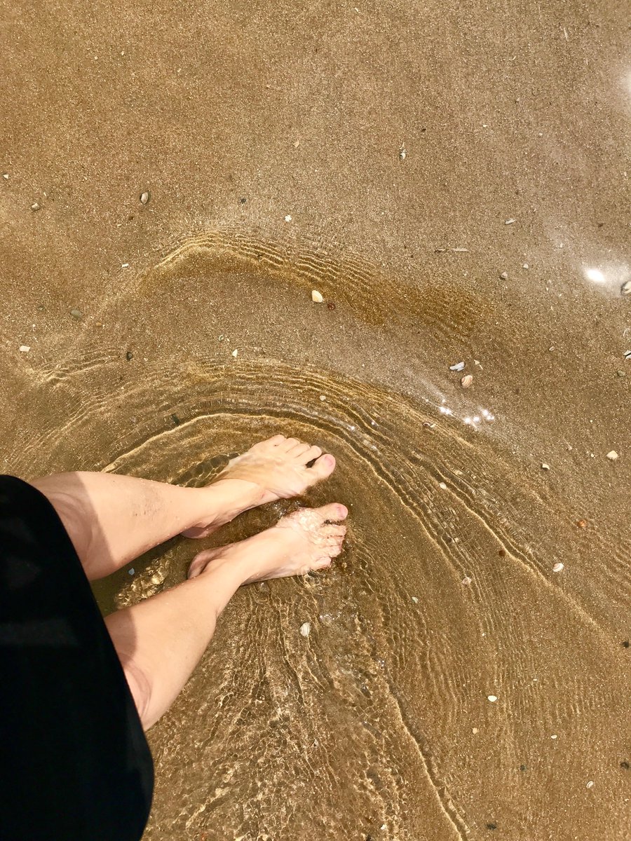 iopflygirl's tweet photo. Yep. It’s cold. #Zaandvoort #DutchBeach https://t.co/1H89kpIqZu