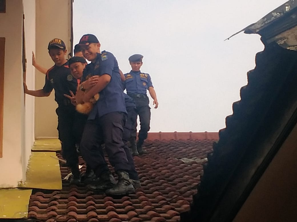 kebakaranbdg's tweet photo. Setelah bberapa jam seekor kucing terjebak di atas genteng , akhirnya bisa di turunkan dengan selamat oleh petugas Rescue Diskar Pb di jln Pratista 2 antapani.#catlovers 
@diskar_bdg @HumasBdg @BDG_CommandCtr 
@infobdg @sekitarbandung_ @PRFMnews https://t.co/IKP6r4bxGu