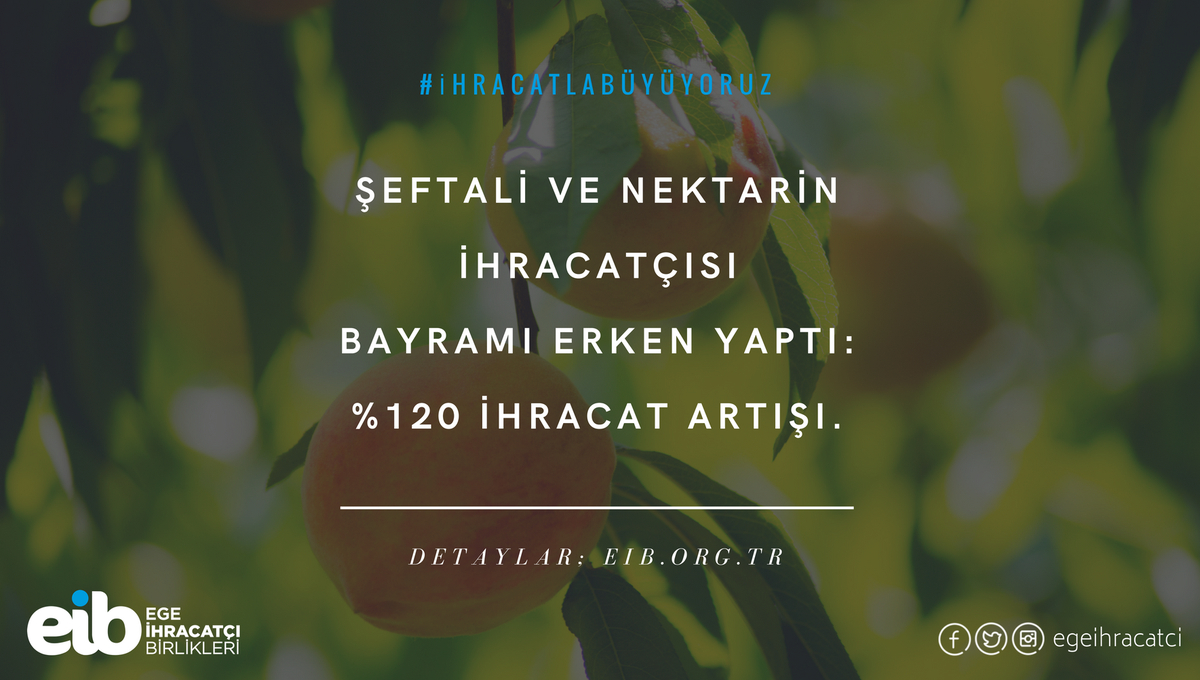 egeihracatci's tweet photo. #Şeftali ve #Nektarin üreticileri ve ihracatçıları Mayıs ayında yüzde 120 ihracat artışına imza attı. Tüm üreticilerimizi ve ihracatçılarımızı tebrik ederiz 👏
Detaylar ➡️ https://t.co/h5UENP7ROL #ihracat https://t.co/IBgmMXMchE