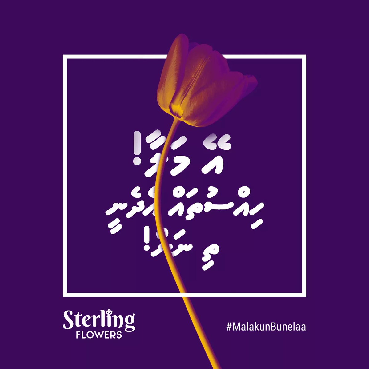 sterling_flower's tweet photo. Don't hold back your feeling. #MalakunBunelaa ;) https://t.co/zyk8SQY3Bh