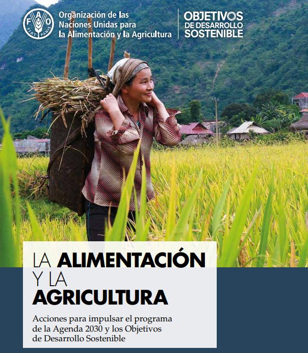 FAOenEspanol's tweet photo. 📘#Publicación FAO: La alimentación y la agricultura: Acciones para impulsar el Programa de la #Agenda2030 y los Objetivos de Desarrollo Sostenible. 

👉 https://t.co/S5en0nZvkC  

#CL159 #ODS #HambreCero https://t.co/YEueQRrgMW