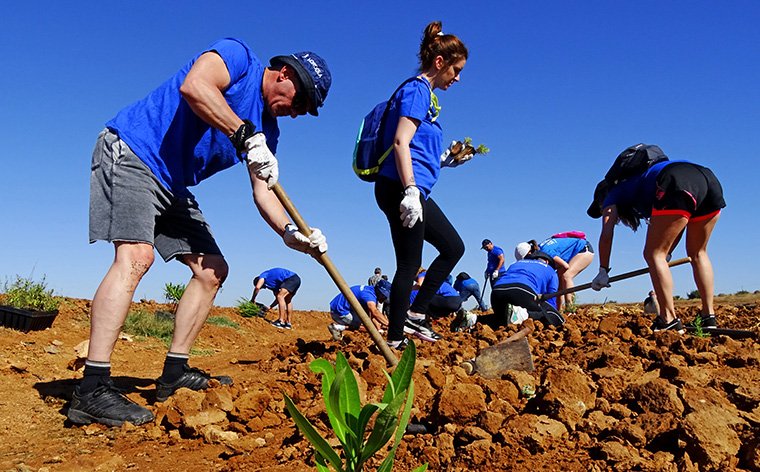 CR_ArcoSur's tweet photo. Plantación de #Setos Multifuncionales en el Arco Sur del #MarMenor. Un proyecto promovido por @asociacionanse con la colaboración de Marea Azul de @Hidrogea y La comunidad de Regantes Arco Sur https://t.co/MO6MoX7KJr