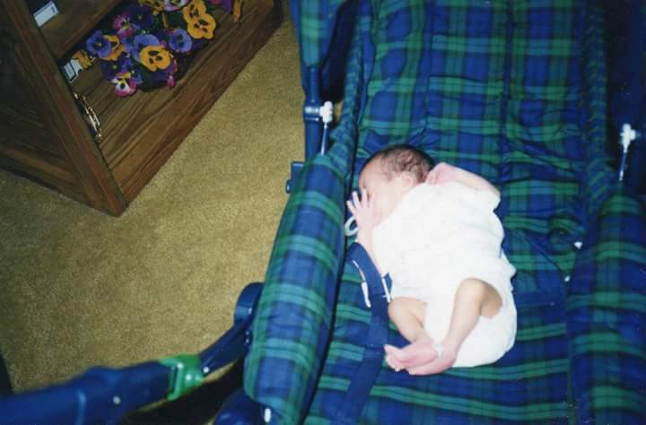 Carole Elwell tweet media