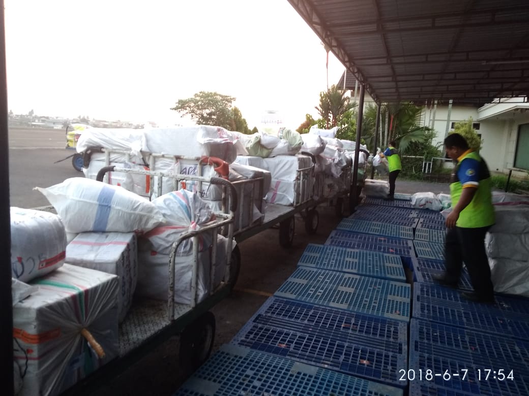 BPPMHKPJambi's tweet photo. #07Juni | Pengawasan domestik masuk di cargo bandara sore ini DM Nihil
@HumasBKIPM 
@desam1987 https://t.co/dvza7uINI3