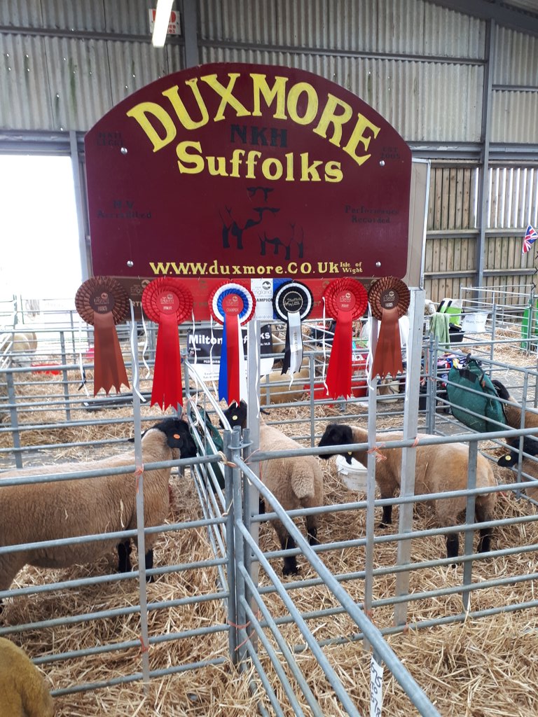 Good day at the office! #southofenglandshow #farmwight #suffolksheep