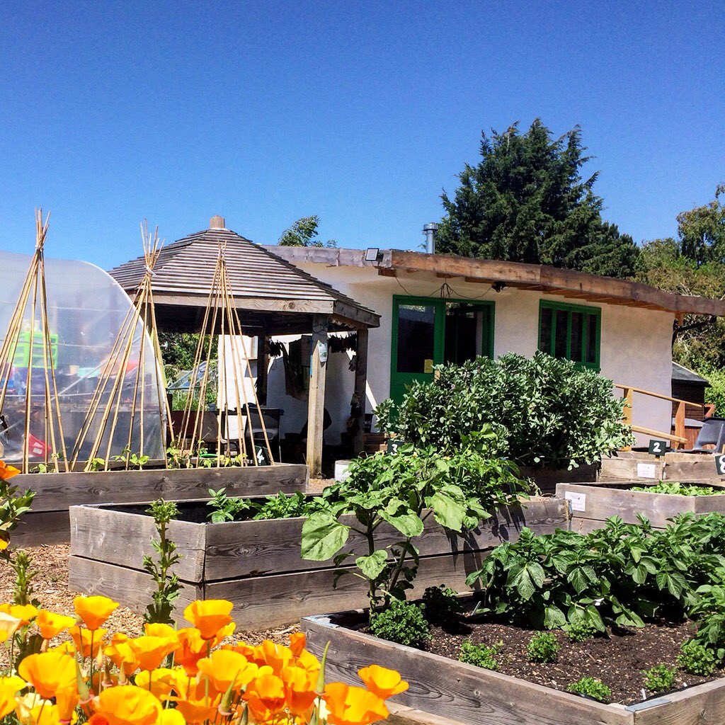 My allotment site <a href="/ghcgarden/">GH Community Garden</a> has a rainwater harvesting system which uses a solar powered pump to extract water from a well, store it in tanks &amp; then feed troughs by gravity

It’s an excellent system of irrigation. Water companies may provide funding for similar operations🌦💧