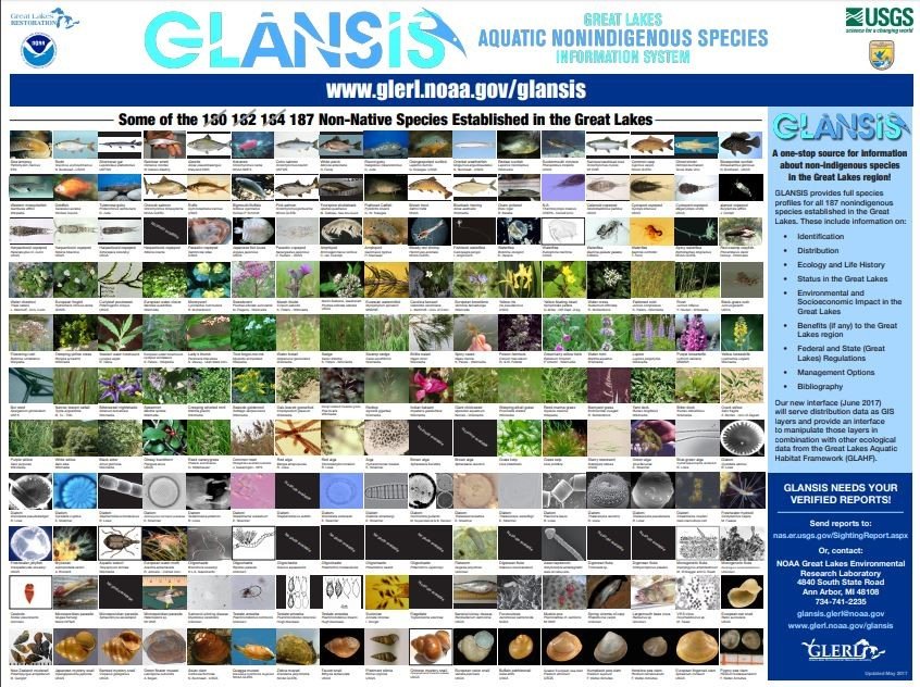 IJCsharedwaters's tweet photo. “Featured Research
GLANSIS: A Database of Aquatic Invaders for Scientists and Citizens Alike” @CIGLR_UM https://t.co/Rq35FY6GIC https://t.co/HVPgiMwuY1