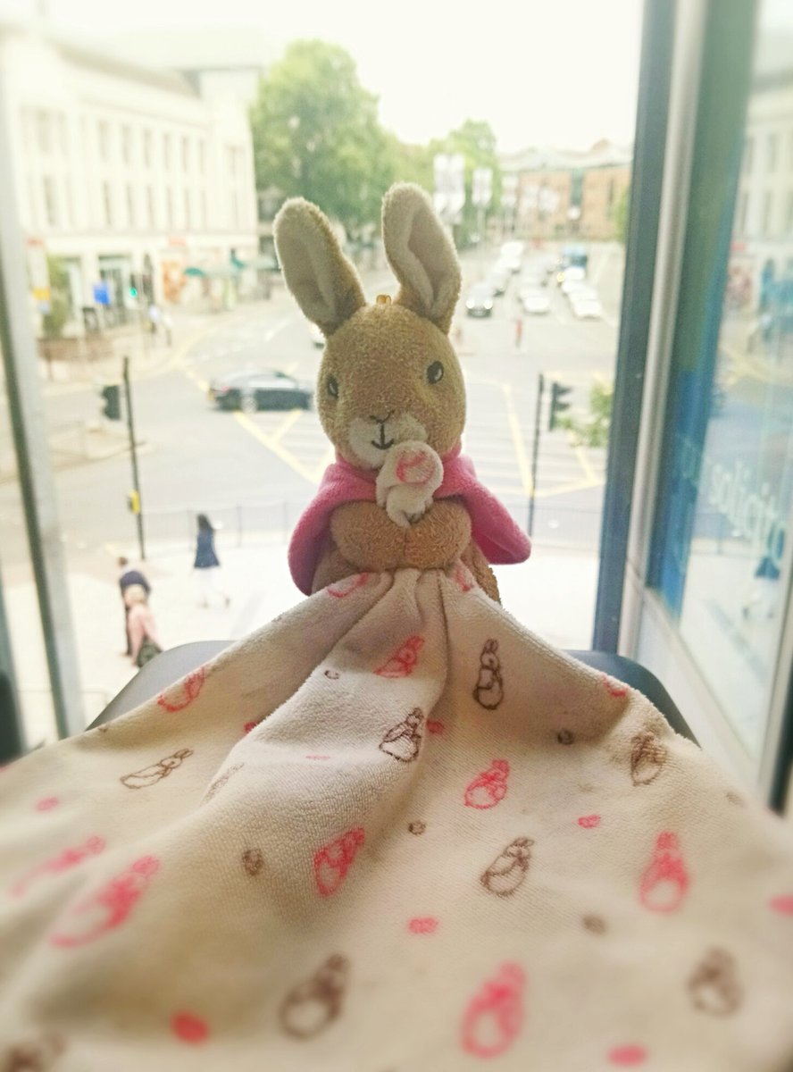Martyn_Prowel's tweet photo. This bunny seems to have hopped away from his owner and has been found outside our Cardiff Queen Street office. Could everyone please share so we can reunite the bunny with their owner #missingrabbit #cardiff #queenstreet https://t.co/s93Qb9ia7r