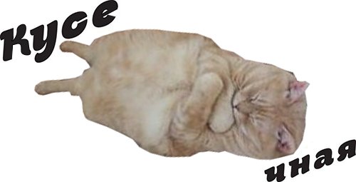 Посмотреть изображение в Твиттере