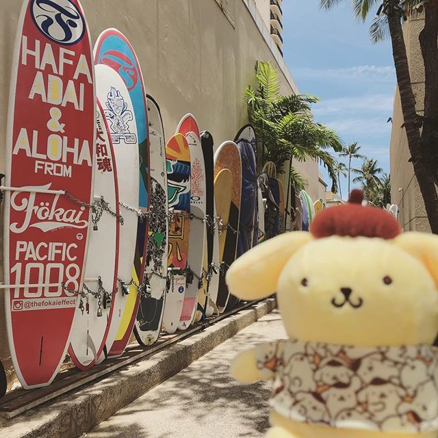 あいうえお 日本グミ協会 ハワイに来ました 初ハワイ楽しんでます O ﾟ ポムポムプリン ポムバサダー サンリオ サンリオ購入品 購入品 かわいい 布丁狗 Pompompurin Sanrio Hawaii つれてってポムポムプリン