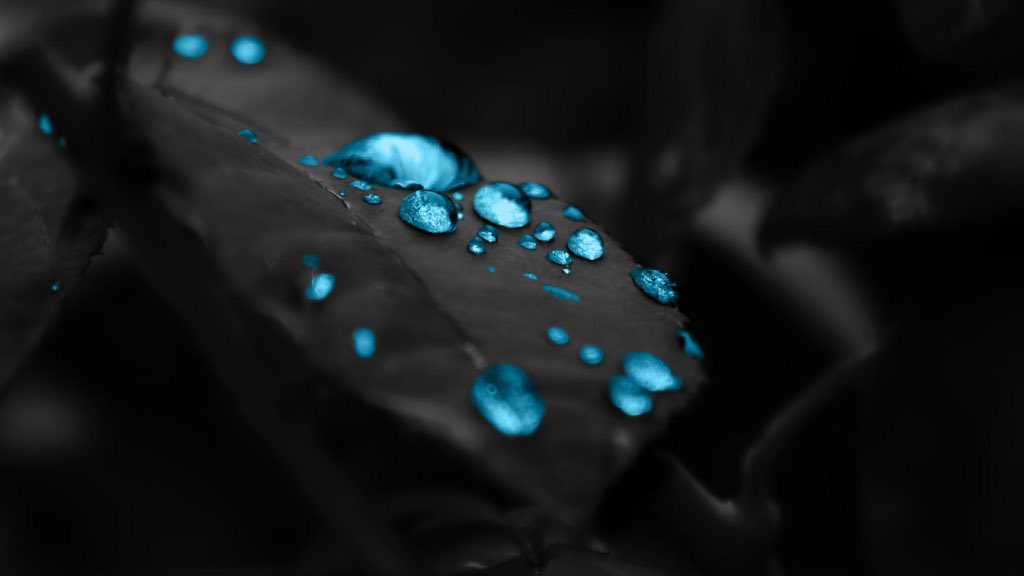 CryptainH tweet picture