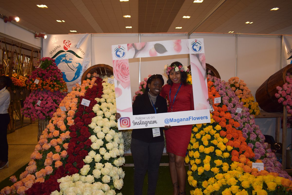 FairtradeAfrica's tweet photo. Beautiful display of #Fairtrade flowers @MaganaFlowersKe booth at #IFTEX2018 join us and experience this beauty https://t.co/psEWcxIDM2