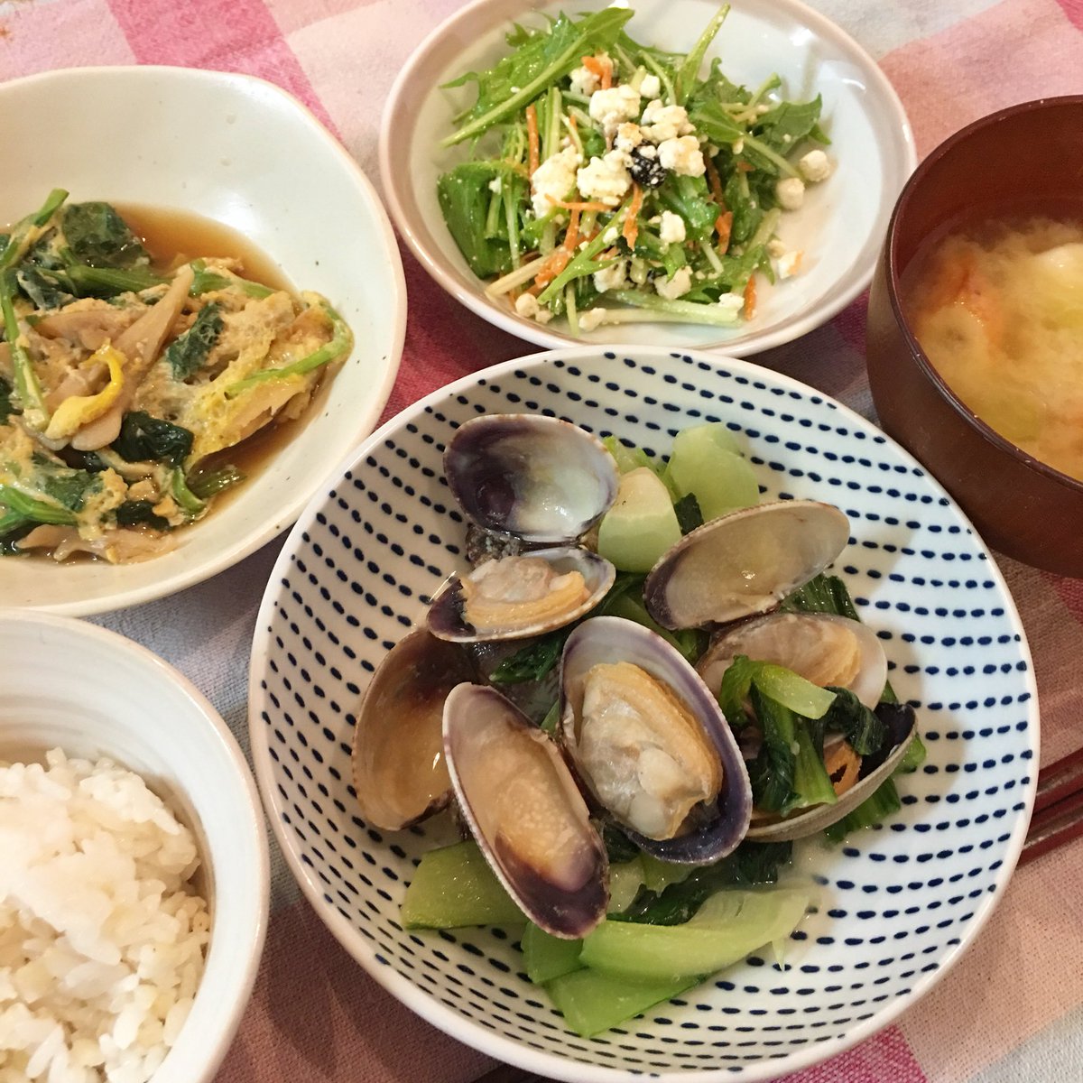 Yuna 18 6 7 よるごはん アサリとチンゲン菜の酒蒸し 小松菜と舞茸の卵とじ 水菜のカッテージチーズ サラダ キャベツとちくわの味噌汁 よるごはん 夜ご飯 献立 おうちごはん 家ごはん 夜ごはん