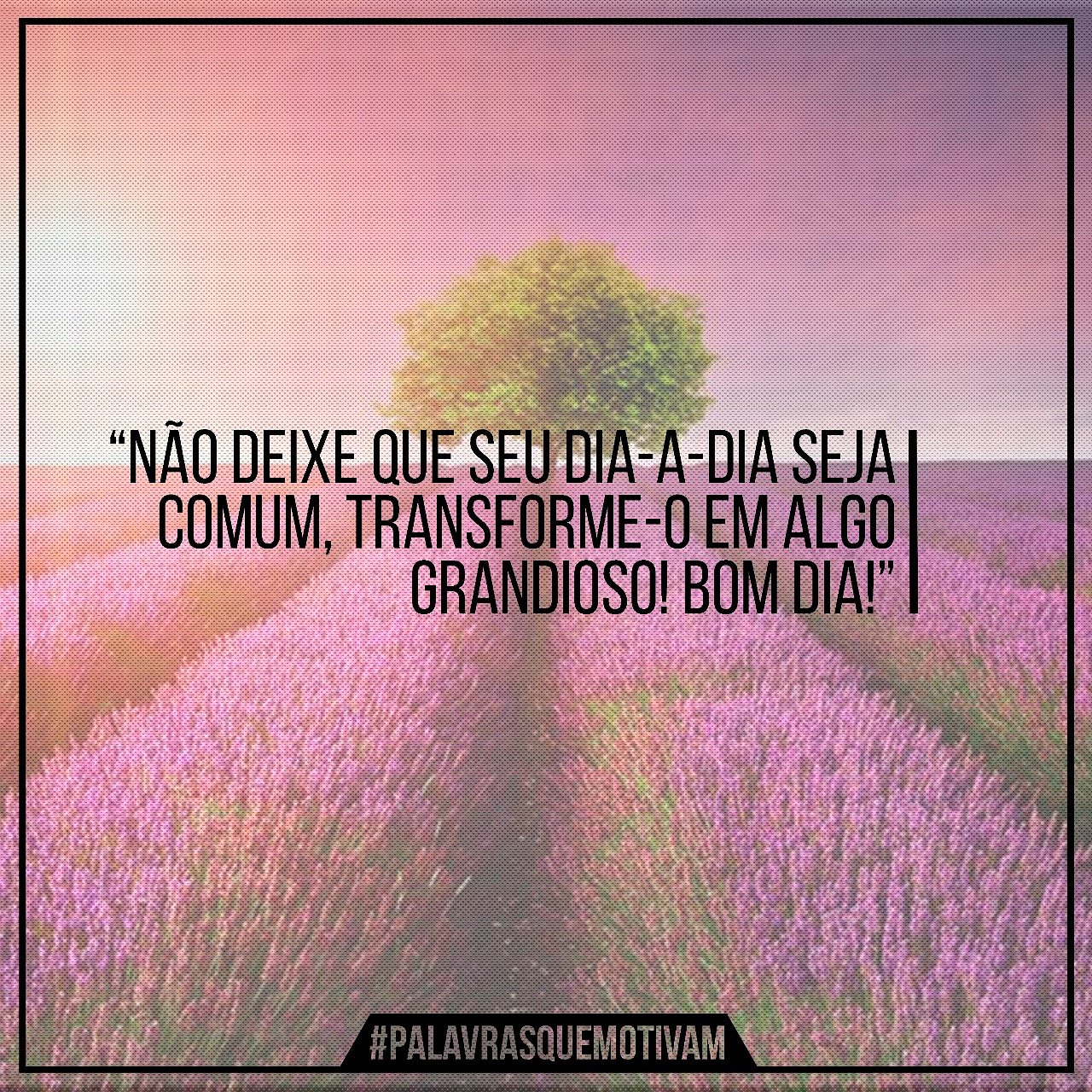 PalavrasQueMotivam on Twitter: PalavrasQueMotivam on Twitter: