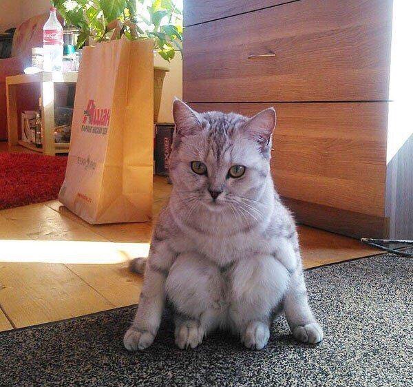 taketozheya's tweet photo. Это я присел и понял, что мне некуда идти https://t.co/MUCHqgjJiX