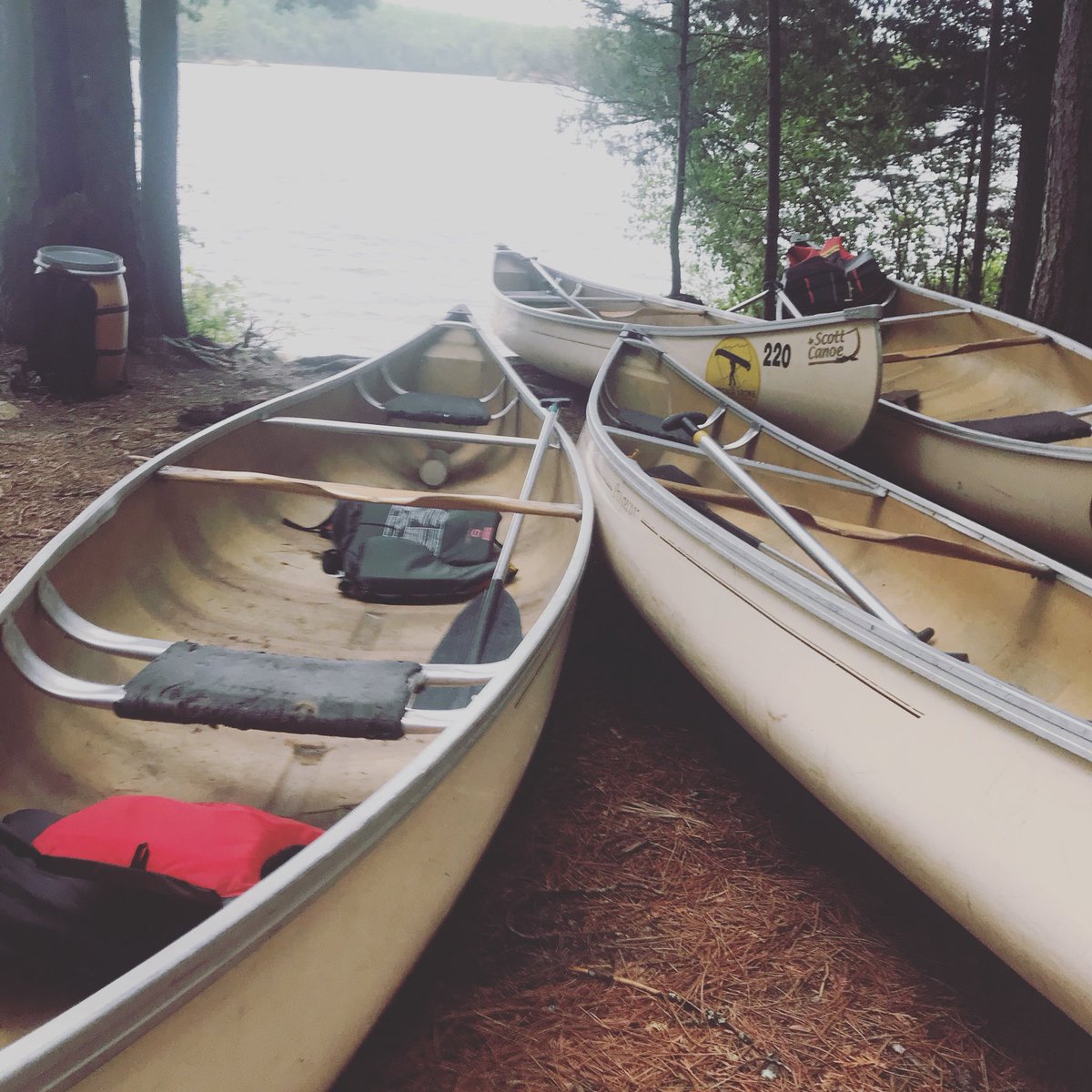 hcoutdoored's tweet photo. “There is nothing either good or bad, but thinking makes it so.” .. And we thought it to be good. #mindset #algonquinpark #shsmenvironment @ALCDSB @Gr33nArmy many more pics on our insta page https://t.co/KJ0yiiyfHU https://t.co/edBCpvQldV