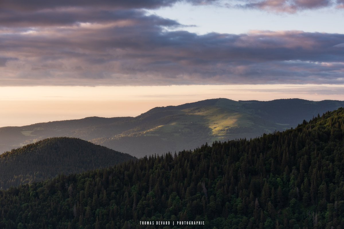 thomasdevard's tweet photo. Lever de soleil sur le massif du Petit Ballon dans les vosges #vosges #alsace #massifdesvosges #jevoislavieenvosges #landscapephotography #outdoorphotography #sunrise #NaturePhotography https://t.co/QGhl17PHu6