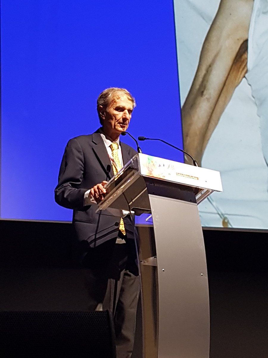 agandarac's tweet photo. Plenaria del Dr. Eduardo Bruera en #SECPAL2018. Las primeras palabras en euskera! Como ser un genio y además no creerselo. Gracias Eduardo por tu entrega y por tu magisterio #paliativosvisibles https://t.co/ONsQGvPJ5n