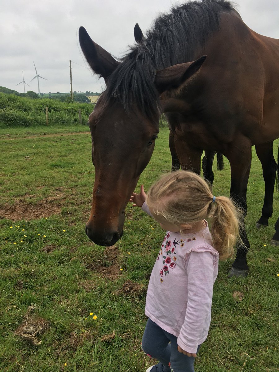 k_woollacott's tweet photo. Those ears 😂😂❤️ #Lalor #Bella #Besties https://t.co/EDjkjvTK58