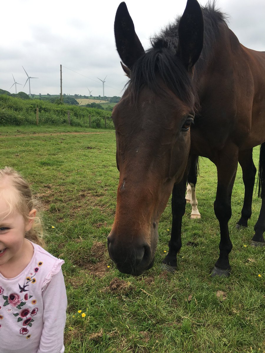 k_woollacott's tweet photo. Those ears 😂😂❤️ #Lalor #Bella #Besties https://t.co/EDjkjvTK58