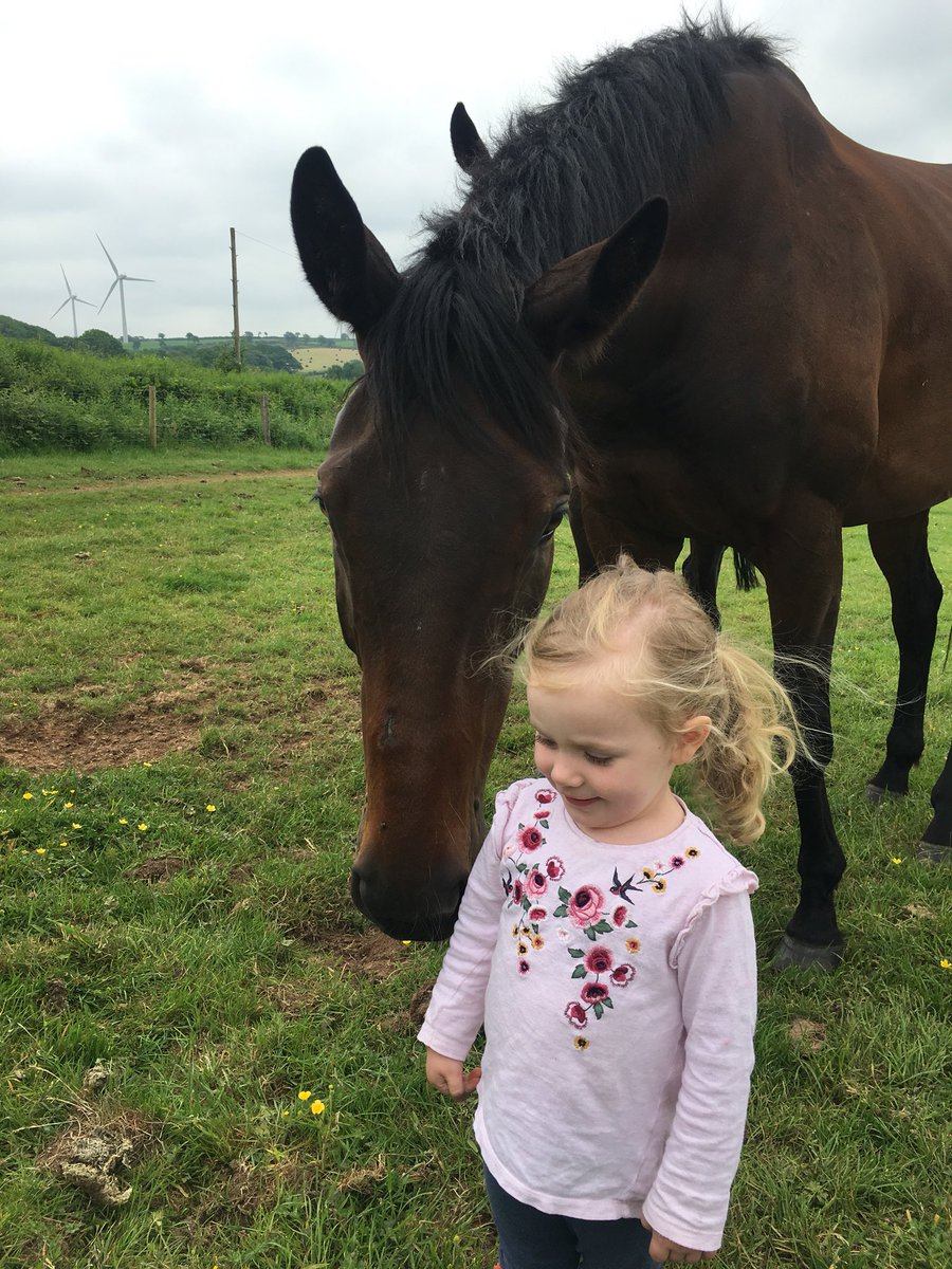 k_woollacott's tweet photo. Those ears 😂😂❤️ #Lalor #Bella #Besties https://t.co/EDjkjvTK58