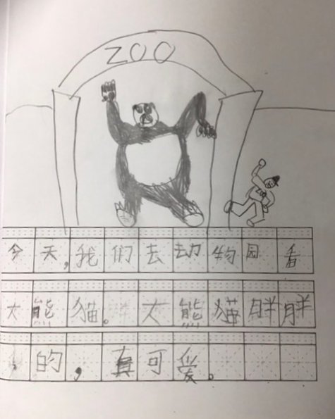 A story about our field trip to the Toronto Zoo written by a grade two boy in Mandarin. #duallanguage #mandarineducation #learnchinese #journal #childhoodmemories #privateschooltoronto