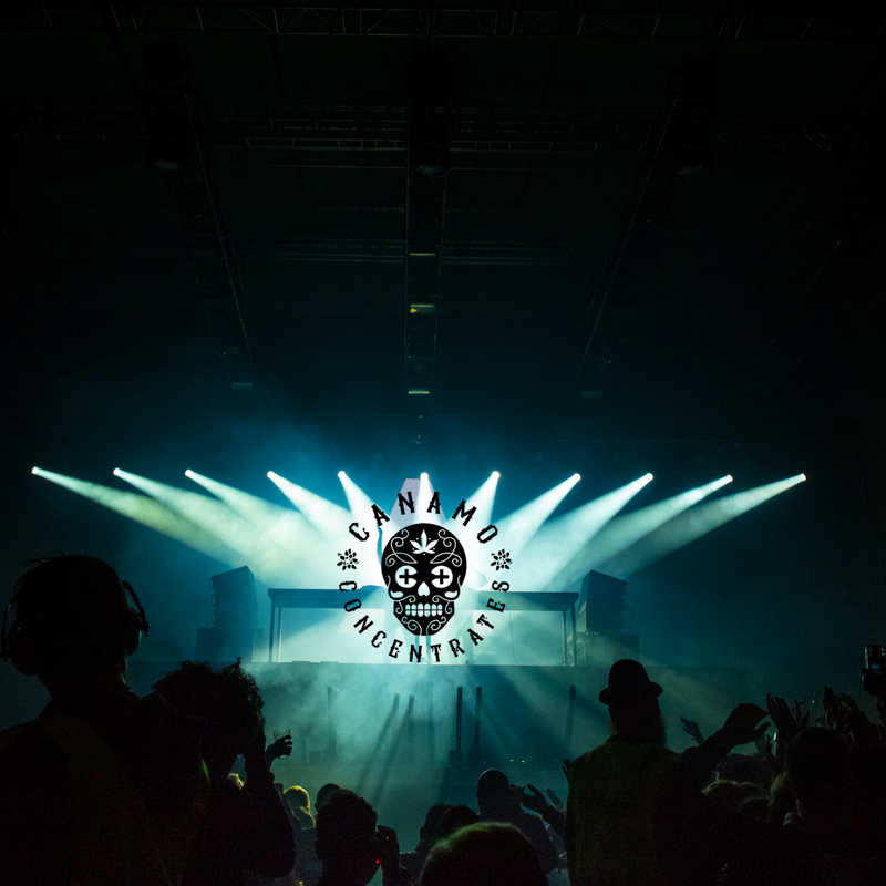 CanamoCC's tweet photo. Let's get lost in the music #dayofthedabs https://t.co/ZrxPw5eGVn