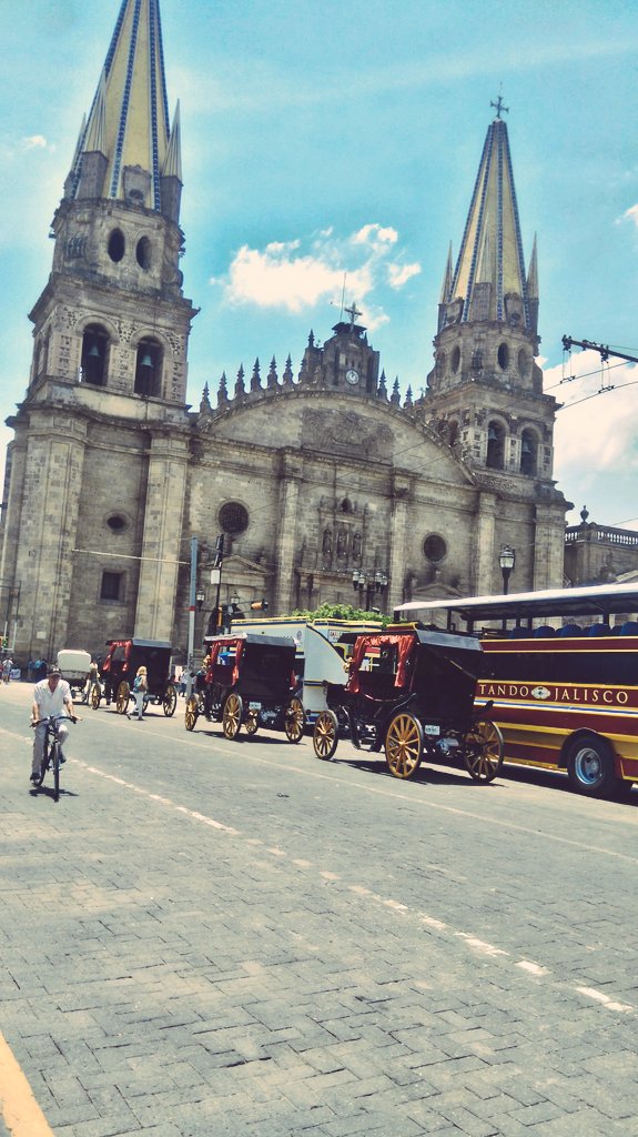 RedProGato's tweet photo. La postal de #Guadalajara esta cambiando: las #calandriassincaballos a las afueras del palacio municipal 😍😀🐴 #BastadeTAS @VisitMex #turismojusto https://t.co/NHWI9X9e4I