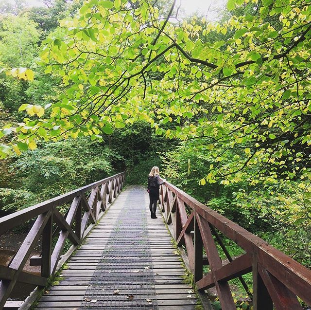 cyclingscot's tweet photo. Colinton Dell. A beautiful place for walking or cycling in Edinburgh
#edinburgh #edinburgh_snapshots #edinburgh_highlights #loveedinburgh #edinburghwalks #edinburghcycling #thisisedinburgh #edinburghspotlight #lovescotland #outandaboutscotland #hiddened⦠https://t.co/DnZsYG1J63 https://t.co/p2nP39JgDR