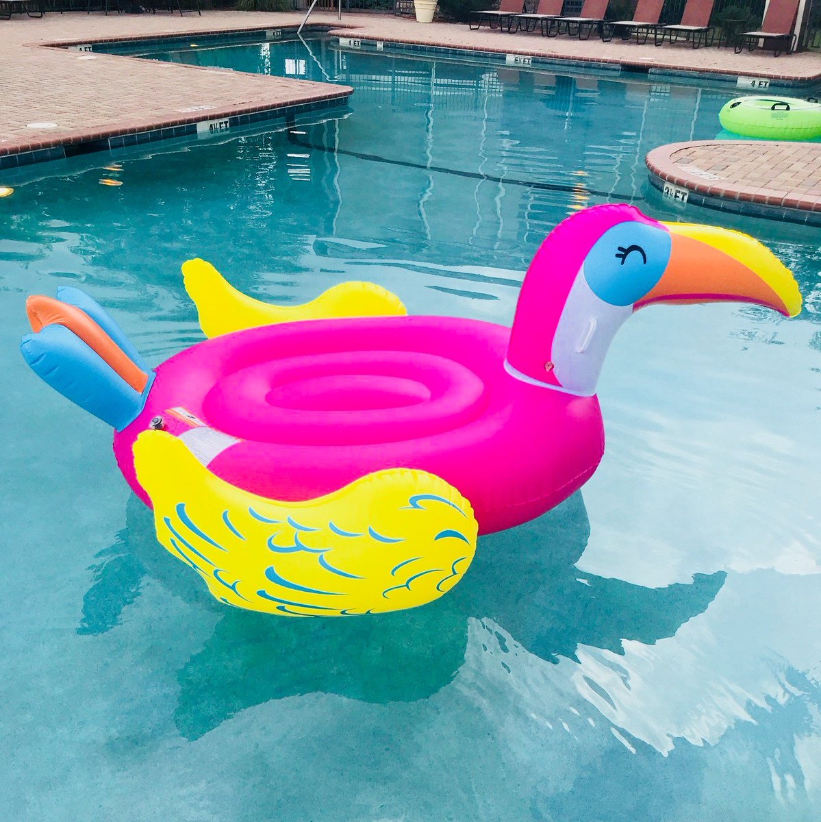 Pierce Education Properties tweet media