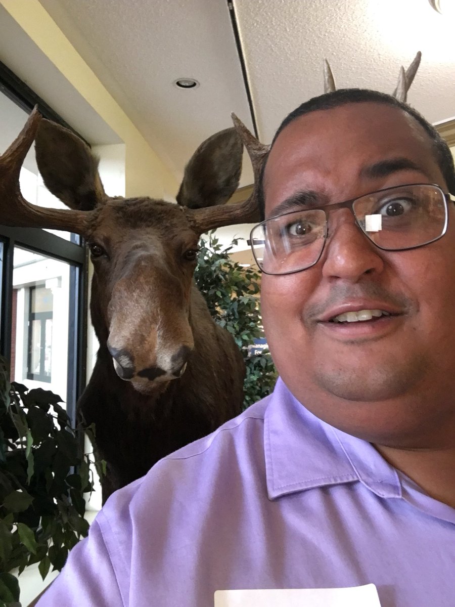 oggycane4lyfe's tweet photo. He said stop #moosing around .@anishinaboy  #moosevice https://t.co/E5miP28IPV