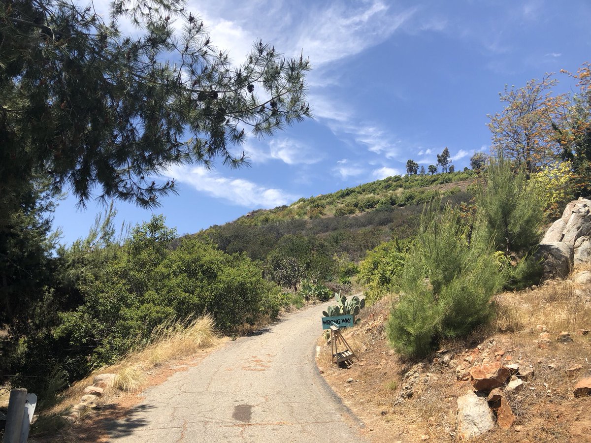 GinaGrad's tweet photo. Went on a beautiful mini-getaway to clear my head and reflect on the memory of my sweet baby boy. It was refreshing and necessary. I’ll let the feelings come and go as they need to while getting back to it. #geriatricpets https://t.co/XpAdH6jA7I