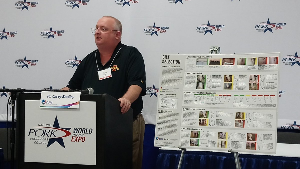 vincenttb's tweet photo. Prof Ken Stalder, @IowaStateU, presented the new Gilt Selection poster, developed in cooperation with @DSMFeedTweet. #WPX18 https://t.co/7QWkReJVGu