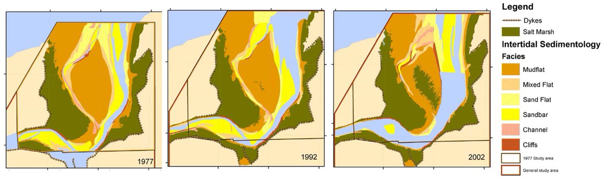 The main channel of the Cornwallis River doesn't change much over a 25 yr period, most likely bc it's confined between dykes. Adjacent marshes, sand and mudflats (mostly mud here) display marked shifts in sedimentation and facies. Informal report by C. Perry-Giraud 2005