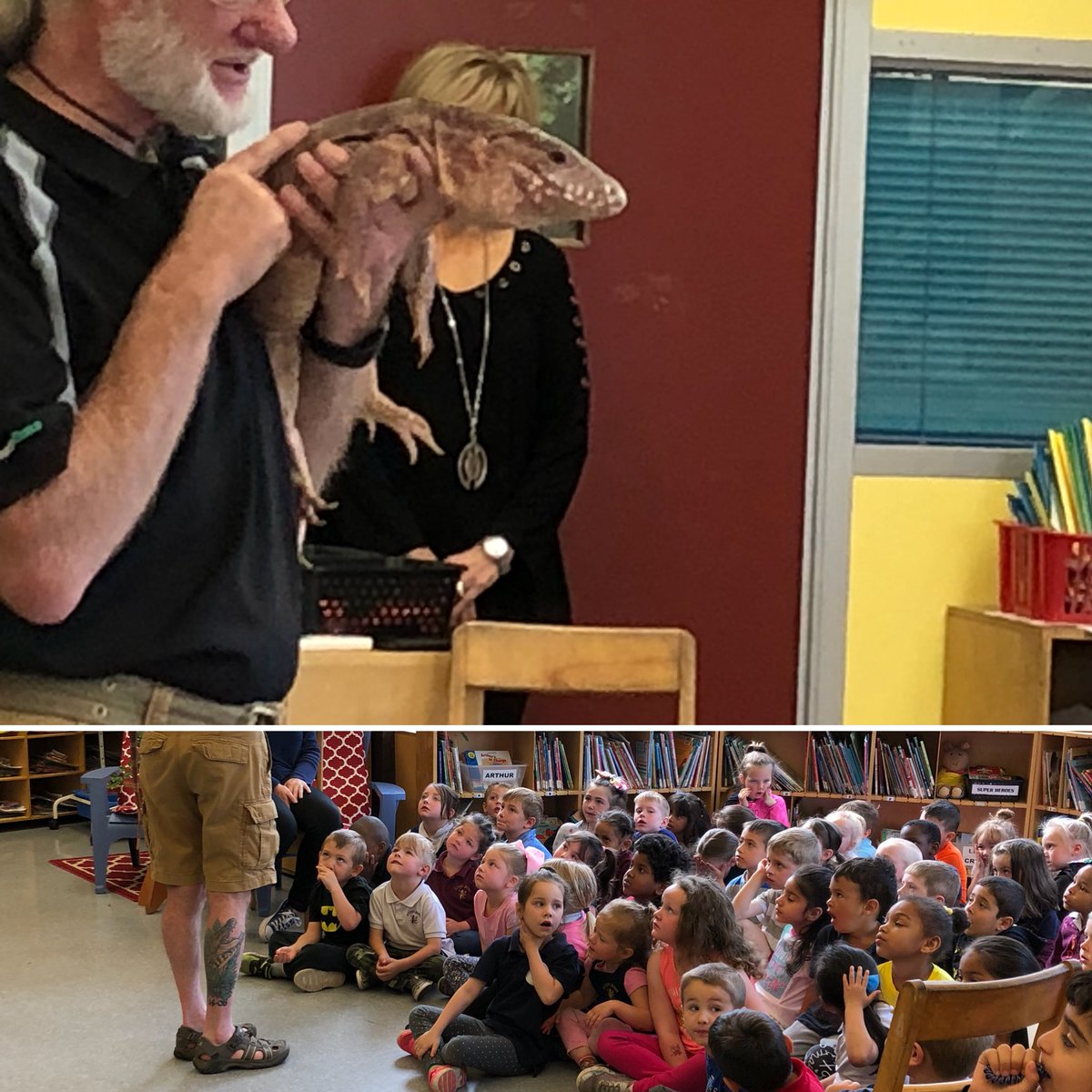 TheReptile man came to visit our kindergarten friends. #reptiles #hwdsbfos3