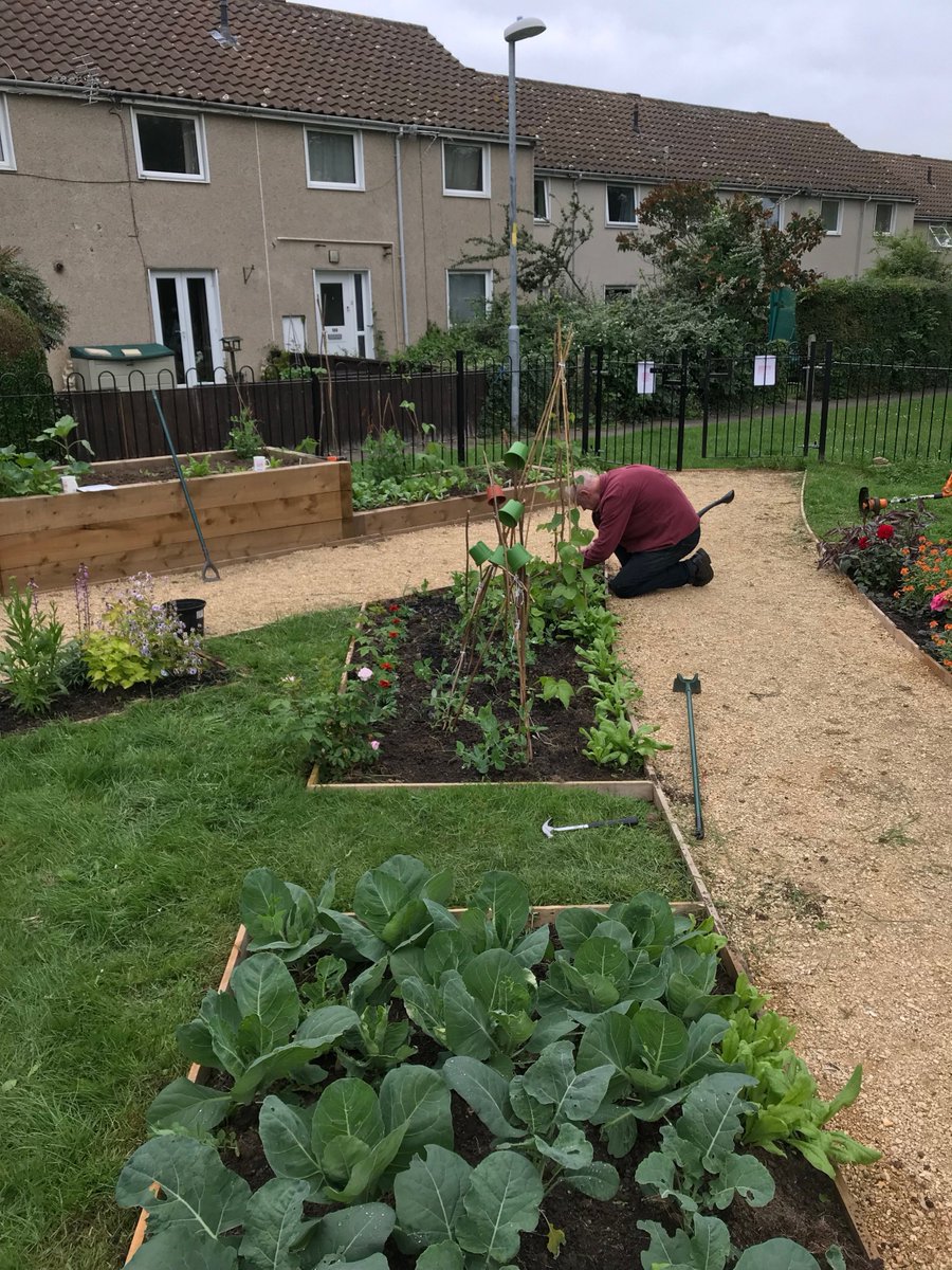 PickersleighCG's tweet photo. Another busy week at the garden and our new shed has also been built 🙂We're so excited by how fast everything is growing🌼 We meet every  Tuesday at 10am and we'd love to see you if you'd like to get involved or find out more. #malvern https://t.co/kdxYZMPT6L