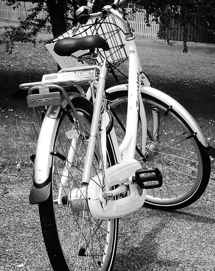 JaxTNChamber's tweet photo. 3 days until we roll out these beauties! Look for more details coming on Sunday! #bikeshare #ZagsterJacksonTN https://t.co/rghDlfKSSF