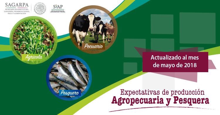 Extensionismo México (@extensionismomx) on Twitter photo Expectativas de Producción Agropecuaria y Pesquera 2018.
La expectativa de la producción nacional agropecuaria y pesquera para 2018 es de 232 millones de toneladas, 4.1% superior a lo obtenido en 2017
gob.mx/siap/articulos… <a href="/BaltazarxTam/">Baltazar Hinojosa O.</a> Expectativas de Producción Agropecuaria y Pesquera 2018.
La expectativa de la producción nacional agropecuaria y pesquera para 2018 es de 232 millones de toneladas, 4.1% superior a lo obtenido en 2017
gob.mx/siap/articulos… <a href="/BaltazarxTam/">Baltazar Hinojosa O.</a>