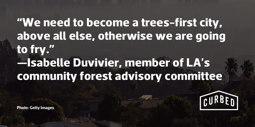 Every year, timed to jacaranda season, I write a story about the state of LA's trees. Every year the news gets worse. Here are some good ideas from passionate Angelenos for making LA shady again. la.curbed.com/2018/6/6/17394…