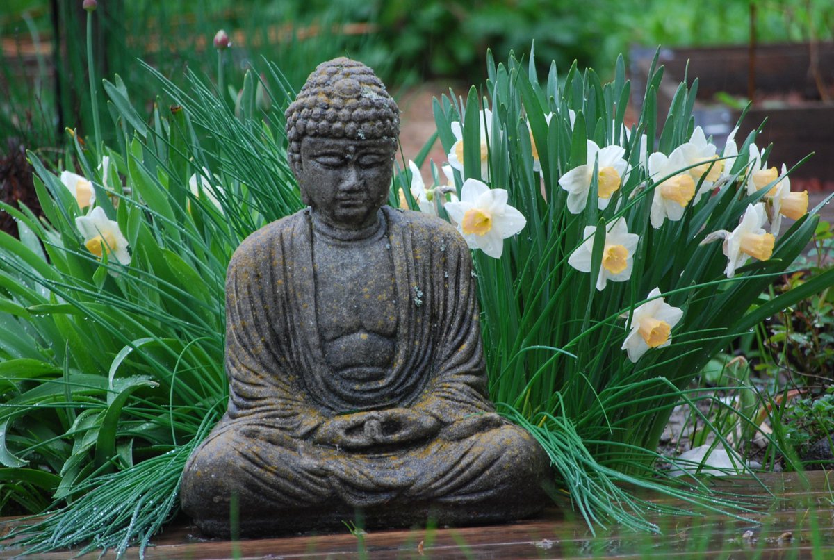 TeaBazaar's tweet image. A beautiful day on the mall isn't it! Come in and get a pot of tea or some to go while you stroll!