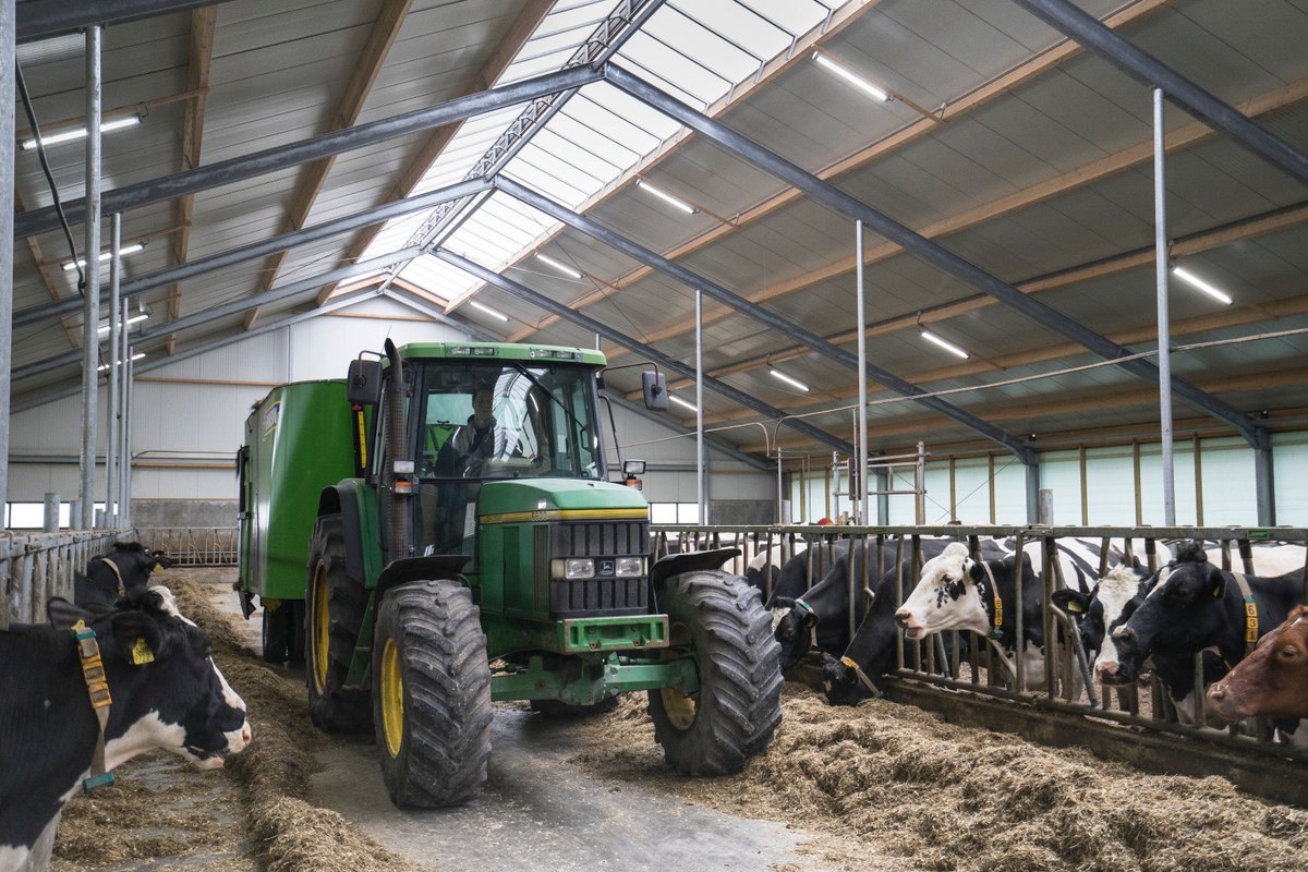 opticowzone's tweet photo. Melkveehouder Pieter Bosma👨verhuisde vanuit het Friese Pietersbierum naar het Groningse Winsum. In de stal branden 27 Forte LED Agri ledlampen. De armaturen zijn evenredig tegen de dakhelling geplaatst en hangen niet in de lengterichting. Dat beperkt de lichtuitstoot. 🐮🚜 https://t.co/lMqVCAizvC