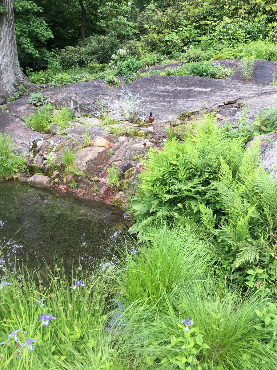 Megan Fullam tweet media