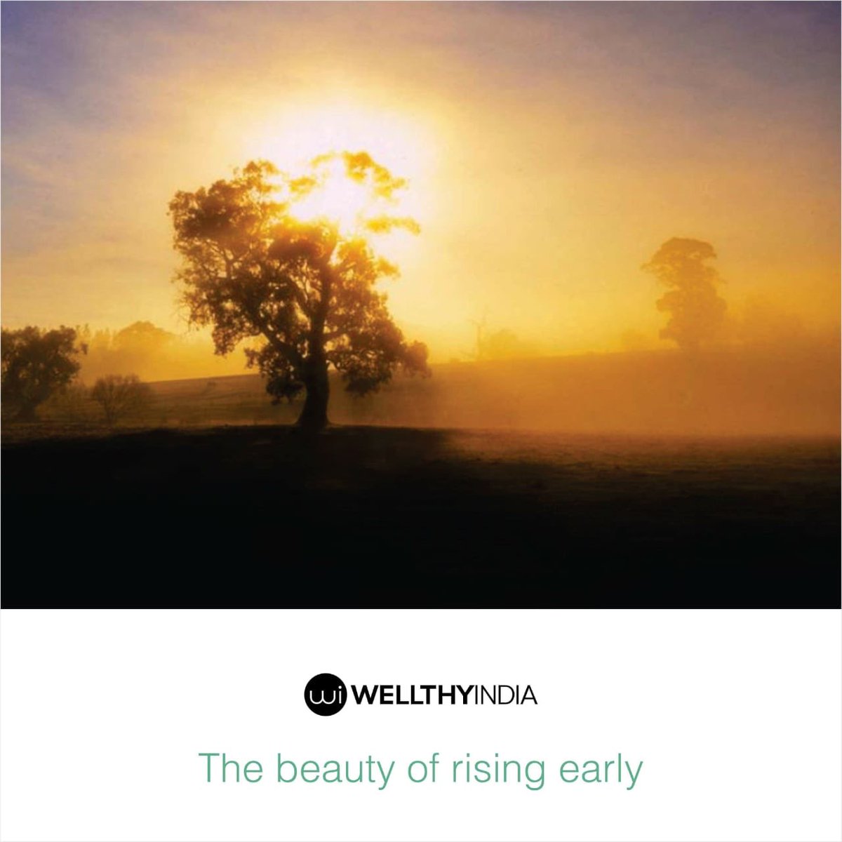 Early morning and sunset. Early morning красивое фото. Very early morning pictures. волны на озере. Early morning красивое фото.