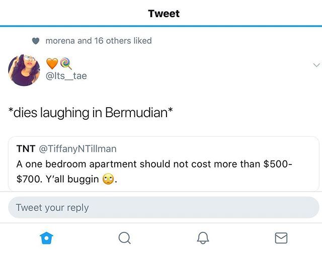 BERMEMES's tweet photo. Dass just groshrees wha you mean sis?!😂🇧🇲 #Bermuda #bermyproblems 🔥 @only__tae https://t.co/e16Hv77WZj https://t.co/9qauLLxX2j