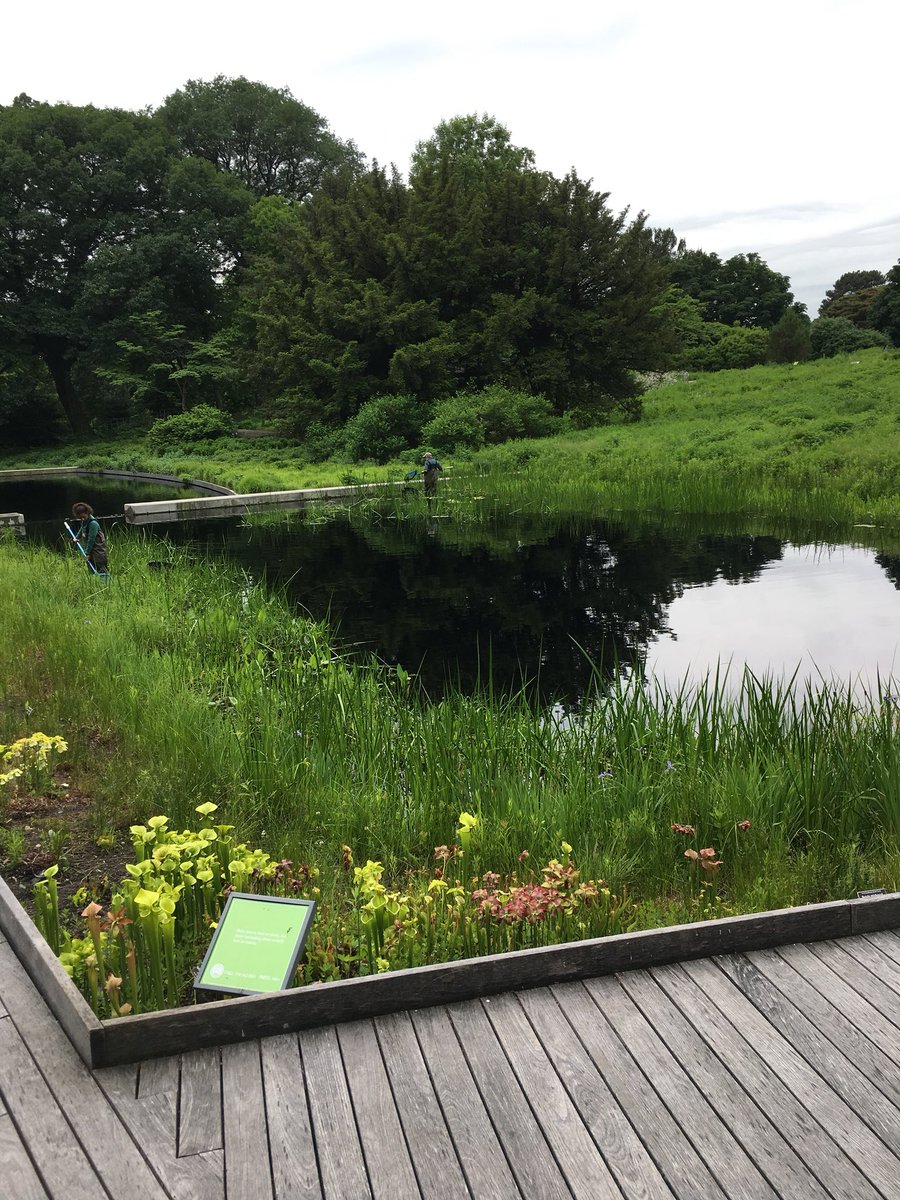 Megan Fullam tweet media