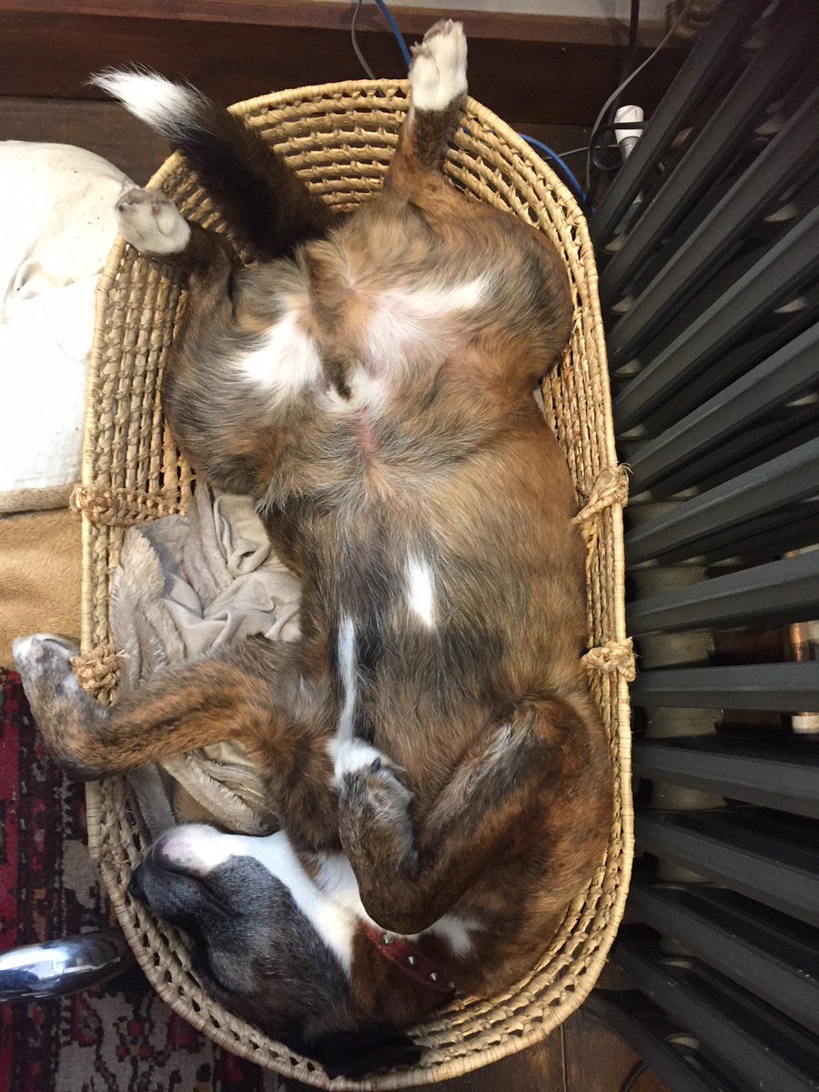 Stable Design Ltd 🇬🇧 tweet media