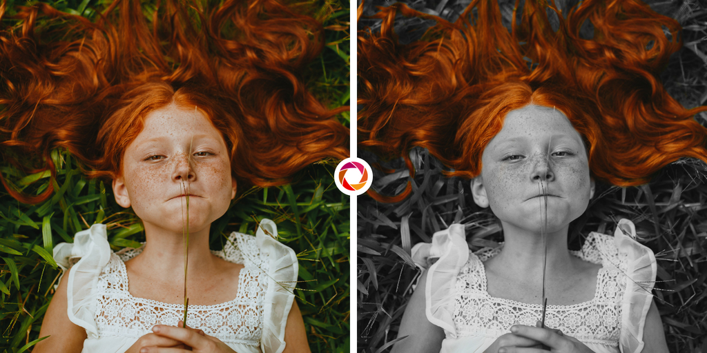 InPixio France tweet media